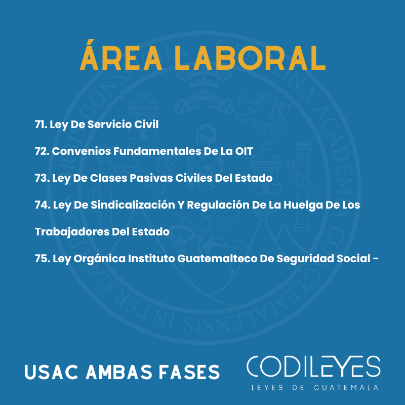 Fase Privada y Pública USAC - Edición Leyit (Pegadas, No Personalizadas y Letra Estándar