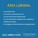 Fase Privada y Pública USAC - Edición Leyit (Pegadas, No Personalizadas y Letra Estándar