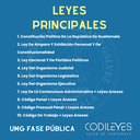 Fase Pública UMG - Edición Plus (Con Espiral, No Personalizadas y Letra Estándar) 