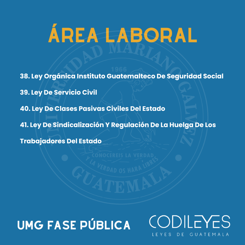 Fase Pública UMG - Edición Plus (Con Espiral, No Personalizadas y Letra Estándar) 