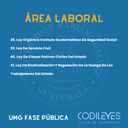 Fase Pública UMG - Edición Plus (Con Espiral, No Personalizadas y Letra Estándar) 