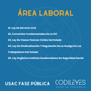 Fase Pública USAC - Edición Wolf (Con Espiral, Personalizadas y Letra Grande) 