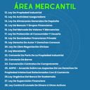 Fase Privada USAC - Edición Leyit (Pegadas, No Personalizadas y Letra Estándar)