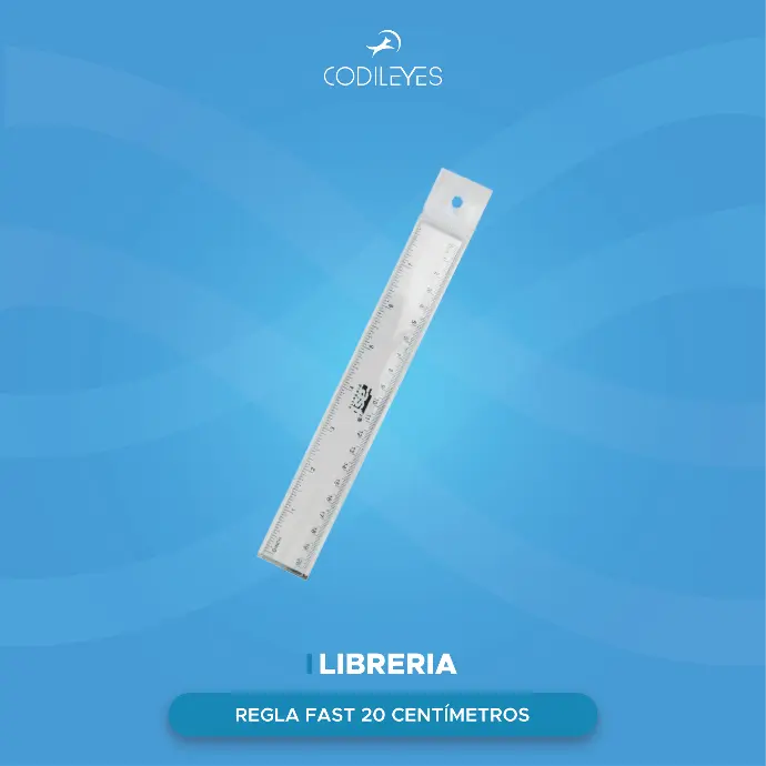 Regla de 20 Centímetros (100)